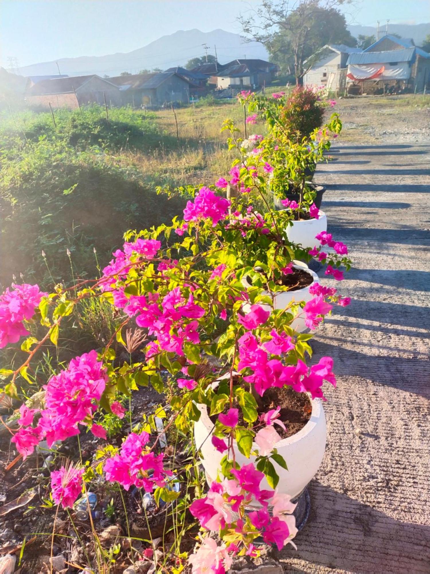 La Geiro Villa Лабуан-Баджо Екстер'єр фото